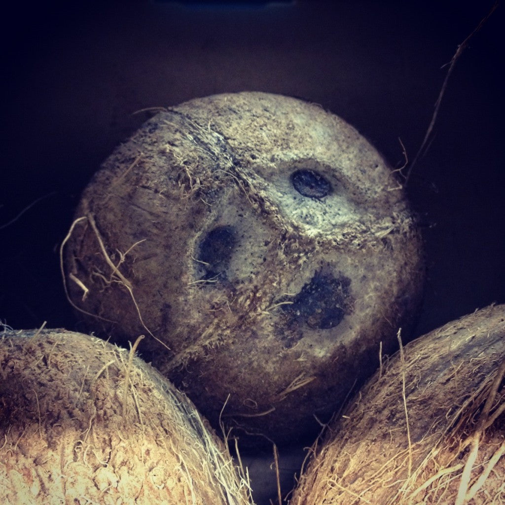 The coconut thing