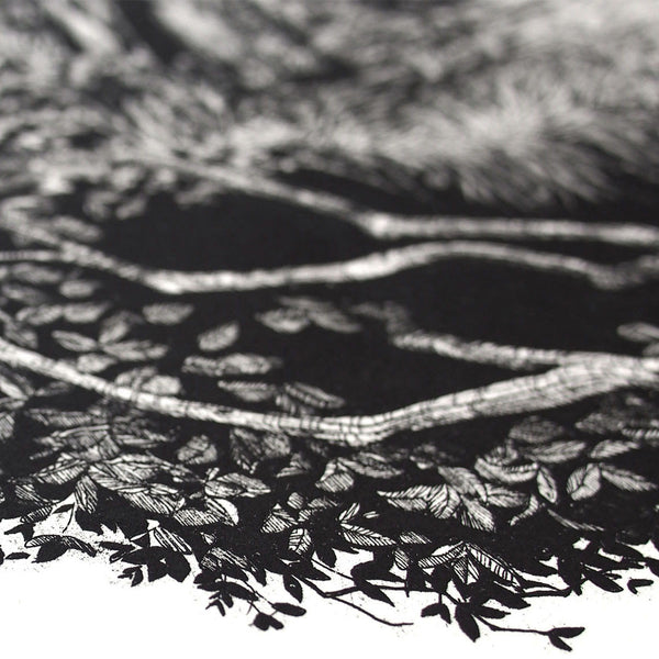 Prints & Editions