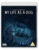 My life as a dog