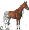 GIDDY-UP