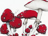 IF YOU DON’T WASH, MUSHROOMS WILL GROW BEHIND YOUR EARS
