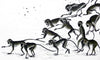 SOMETIMES THE SKULL MONKEYS BREAK OUT